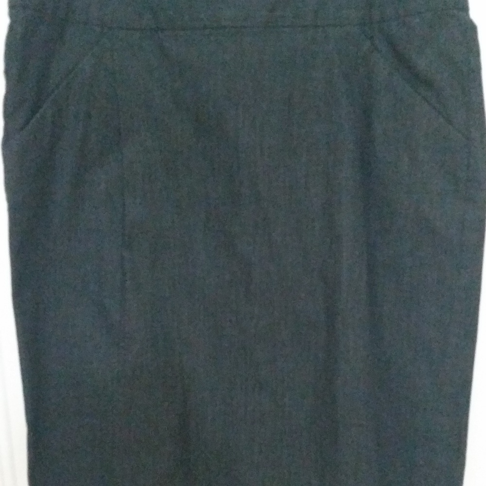Ann Taylor Skirt